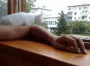s7dUipK.gif