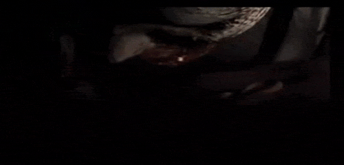 tumblr_m88wmmtbTo1qcjglso1_500.gif
