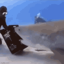 rotate.gif