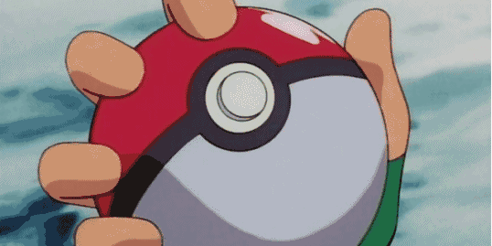 1637f-pokeballcatchemall.gif