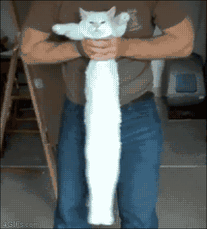 Kf0M1Qa.gif
