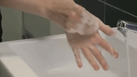 455e5dcca2837f1d9c2a1aaeb043a9c1.gif