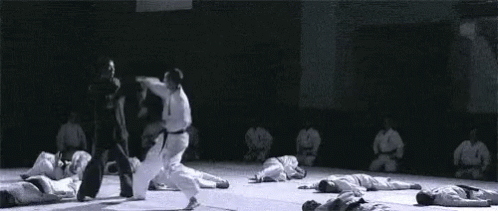 ip-man-wing-chun.gif