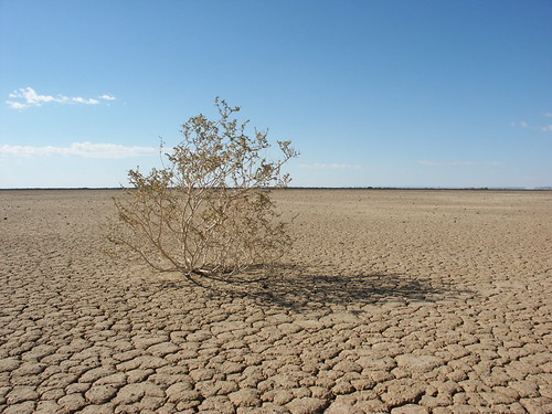 12158324_ca85870248.jpg