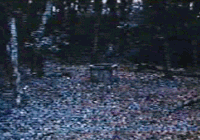 O0aCiQ1.gif