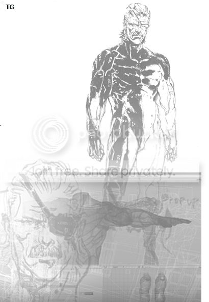 mgs4_4.jpg