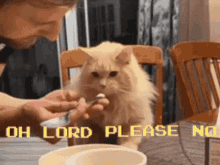 oh-lord-please-no.gif