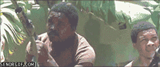 tBcMZ.gif