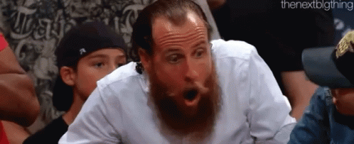 wwe-fan.gif