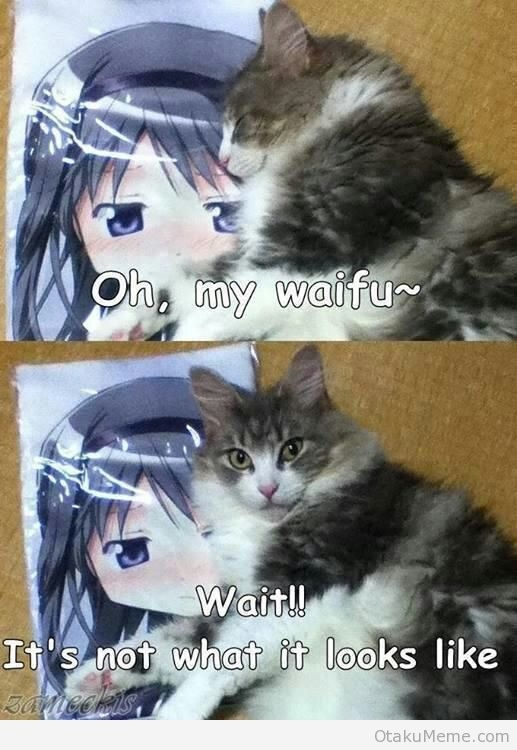 cosPKOA.png