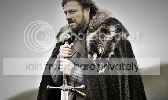 brace-yourself_zpse9fb432a.jpeg