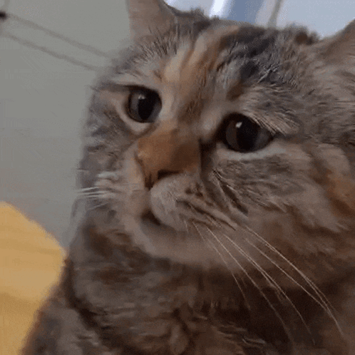 5ded89cc940f476bd1c883dac5445aab.gif