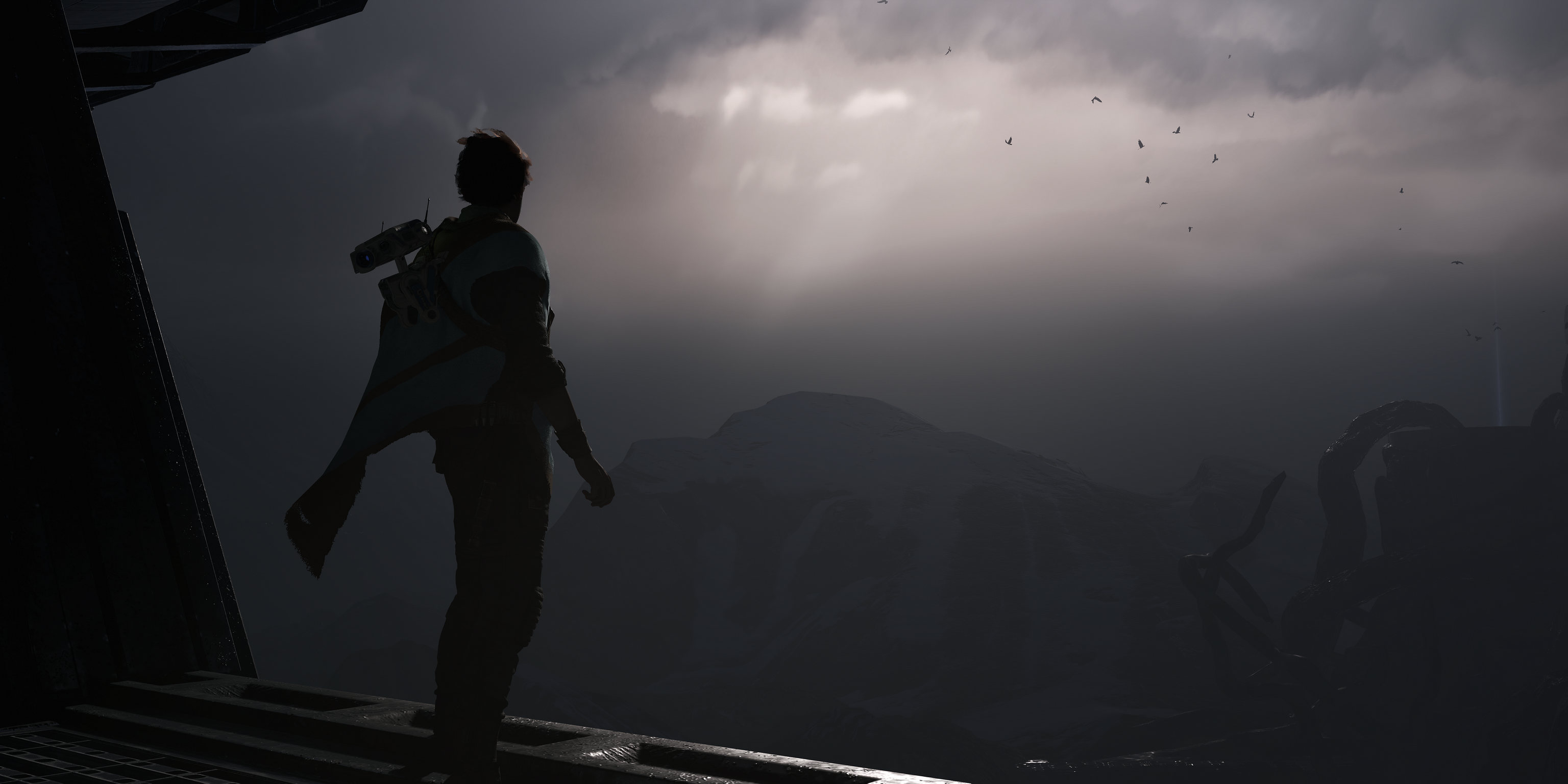 52231250127_2bf3129daf_3k.jpg