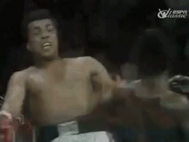 muhammad-ali-ali.gif