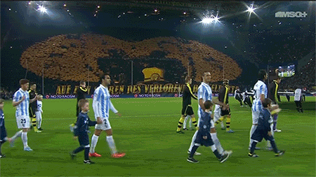 rising-tifo-3.gif