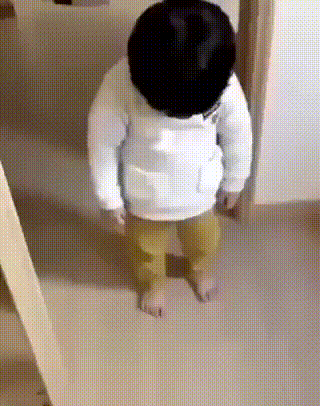fxaL88K.gif