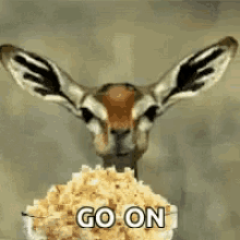 go-on-popcorn.gif