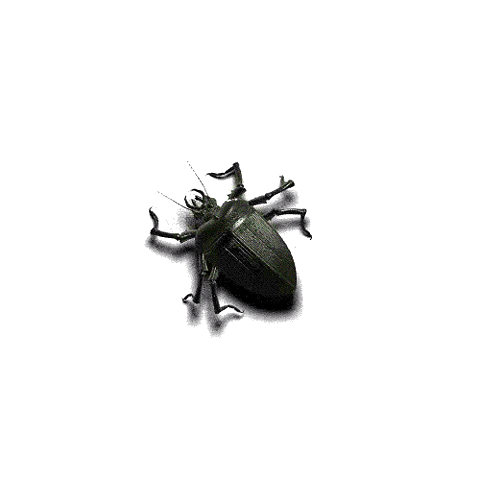fatbug.gif