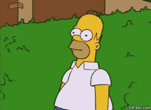 HlCyD3X.gif