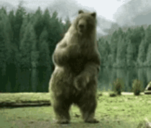 WeKt2WP.gif