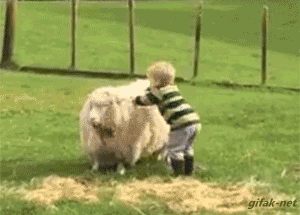 tldxXoB.gif