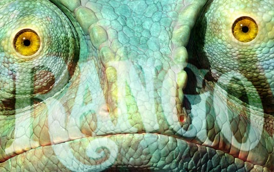 rango.jpg