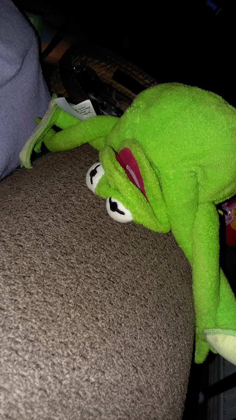 HD-wallpaper-kermit-frog-funny-kermit-seppuku-kermit-the-frog.jpg