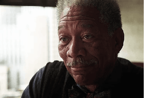 51750852383_bb0acc9247_o_d.gif