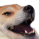 802207466938171443.png