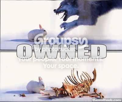 owned08.jpg