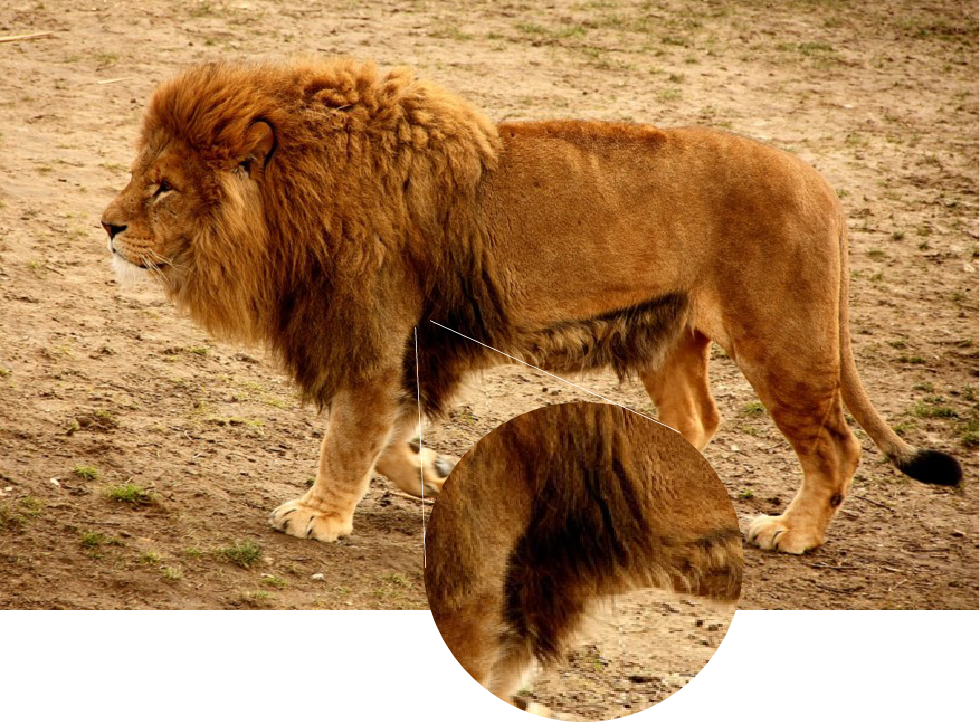 BTlqRM9.png