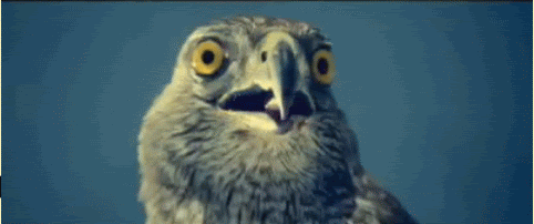O-1.gif