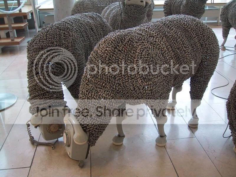 sheep2.jpg