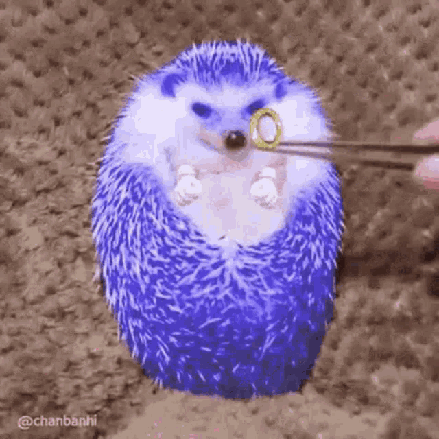ynqsWfM.gif