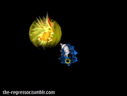 tumblr_n8h2khQAL51rqz5qko4_r1_250.gif