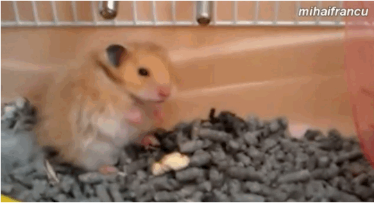 430c6c147c281de97d94181381669aae.gif