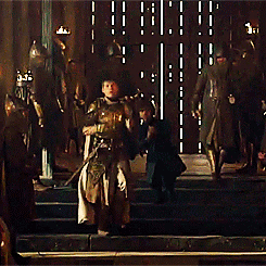 tumblr_n0rf4uAHHL1qmz4rgo3_250.gif