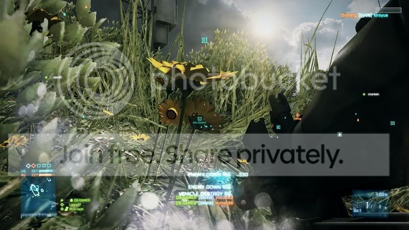 bf32011-10-1000-23-21-66.jpg