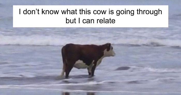 73ShlCJ.jpg