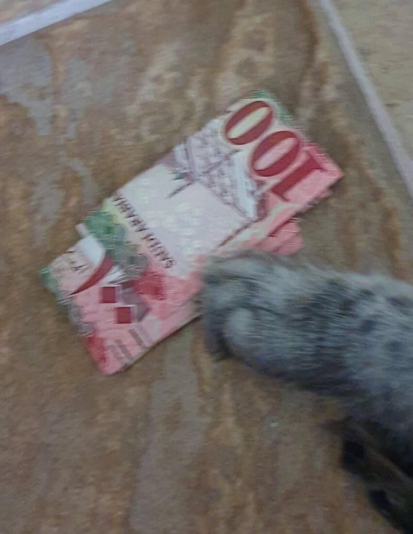 rBi5o9B.jpg