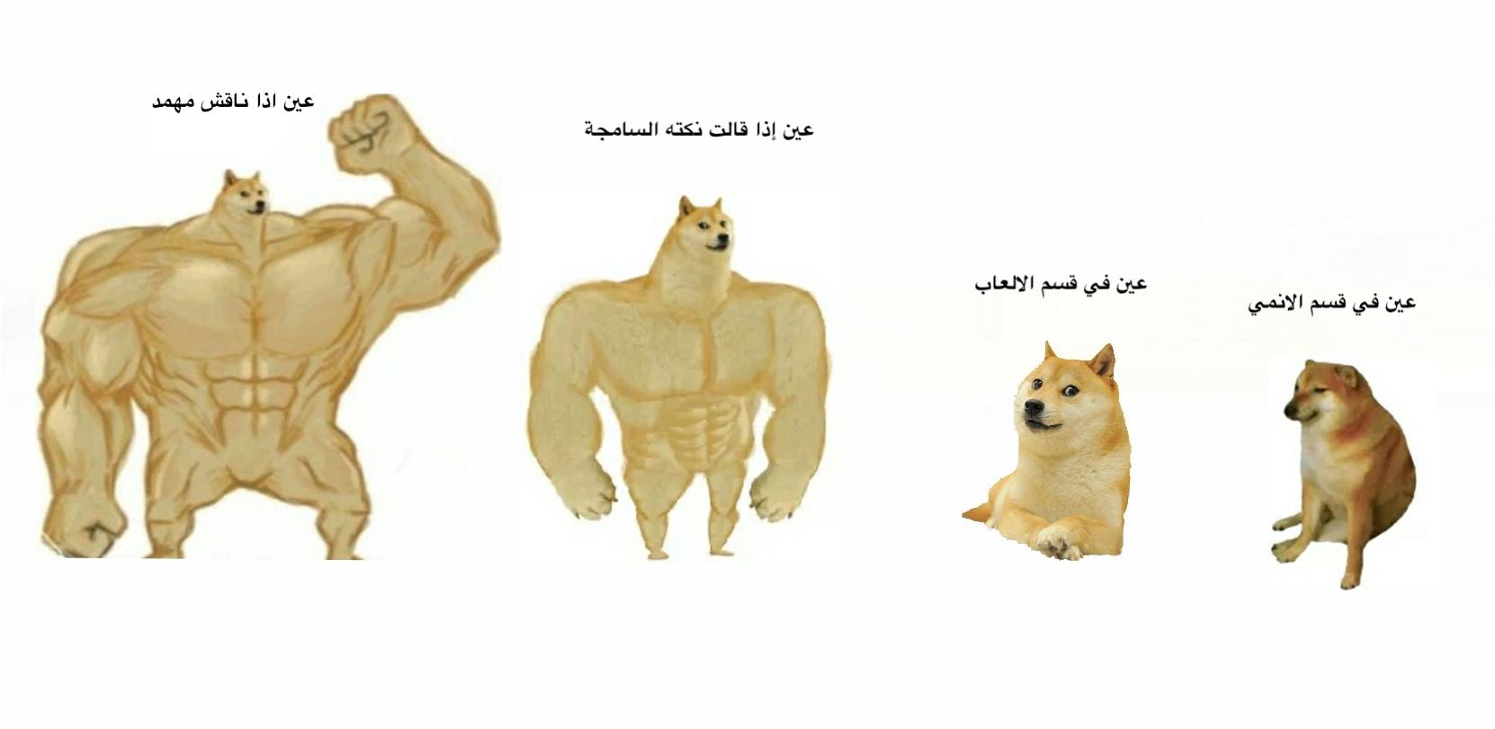 YzAbMwM.jpg