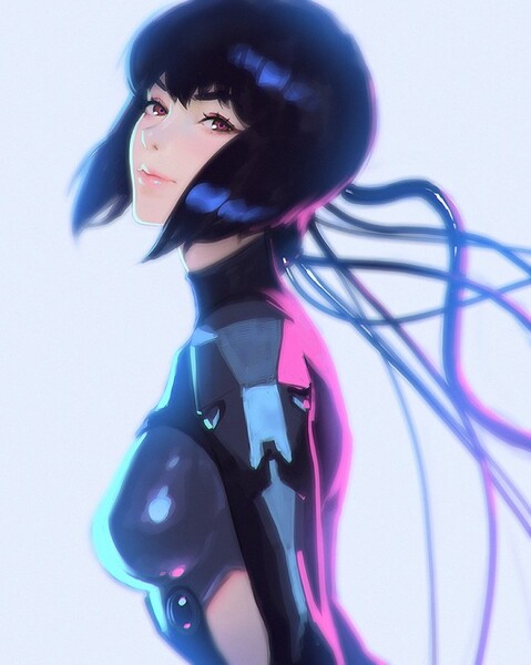 gits.jpg