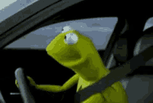 kermit-kermit-the-frog.gif