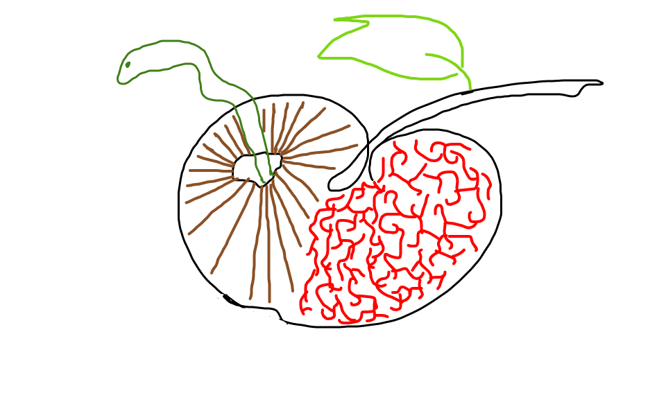 sketch-70915781.png
