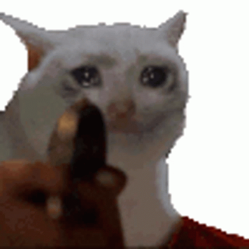 shot-sad.gif