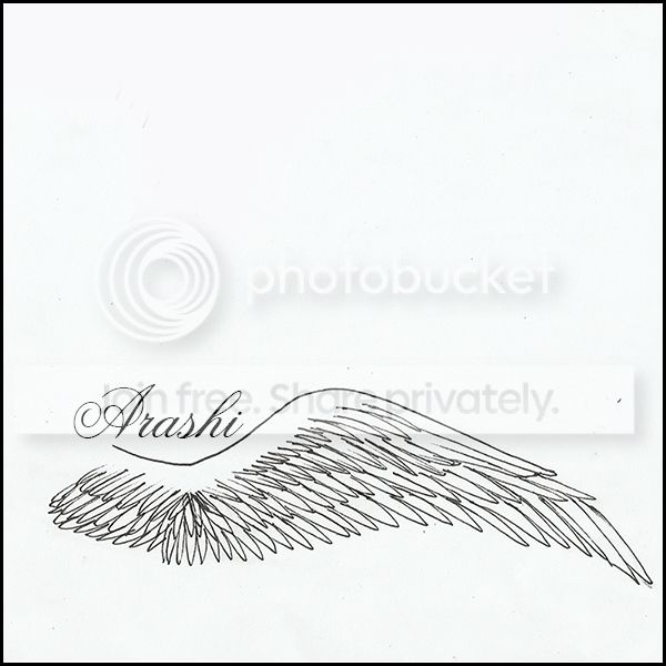 birdd-1.jpg
