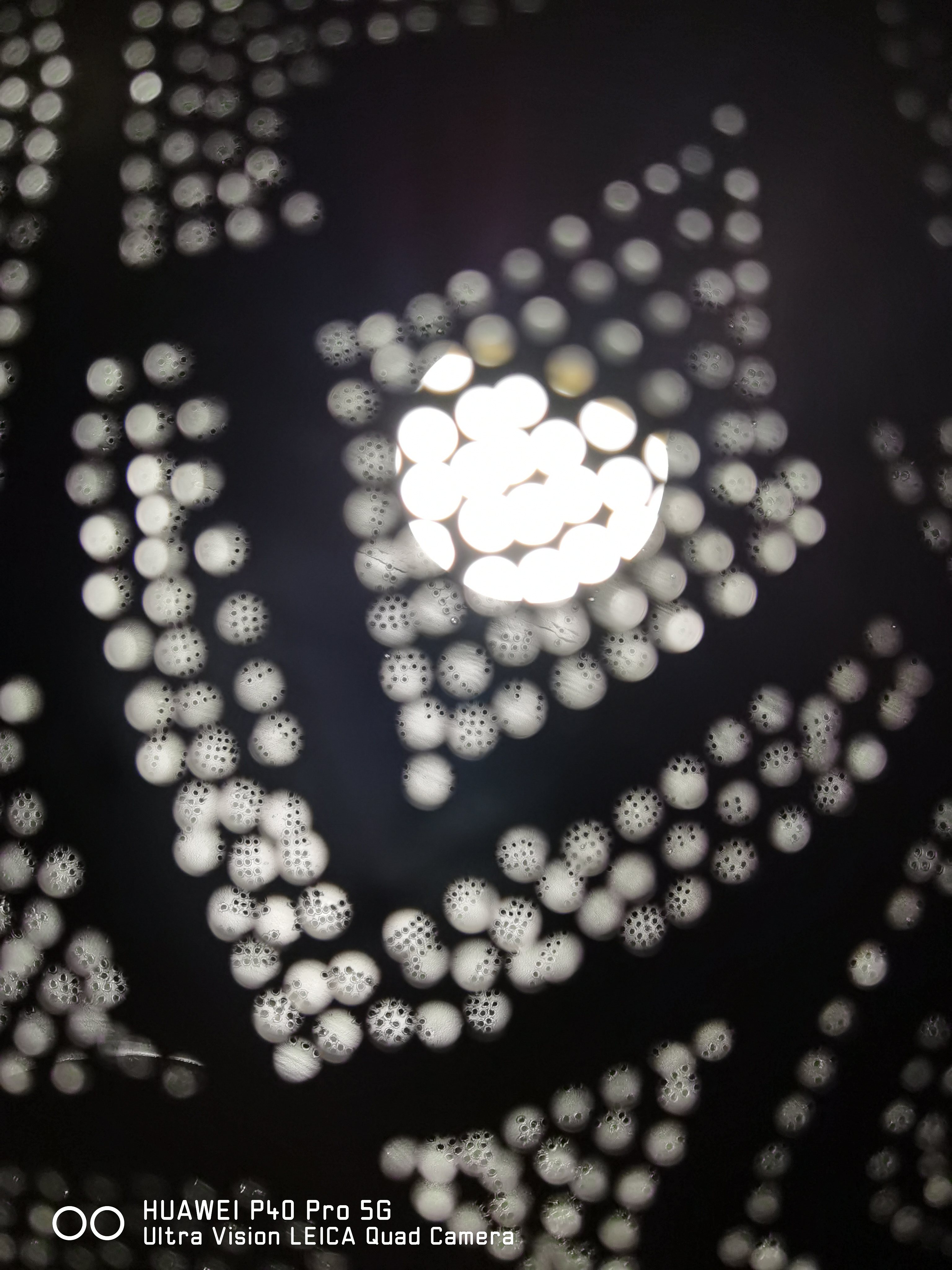 49784657943_efbc88a895_4k.jpg