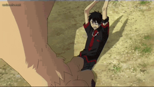 tumblr_m8pwioYYRL1rncicho1_500.gif