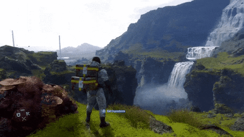 giphy.gif