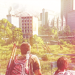 tumblr_mpcapsNllX1rhsqf5o1_250.gif
